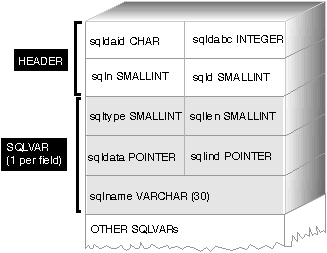 The SQL Descriptor Area (SQLDA)
